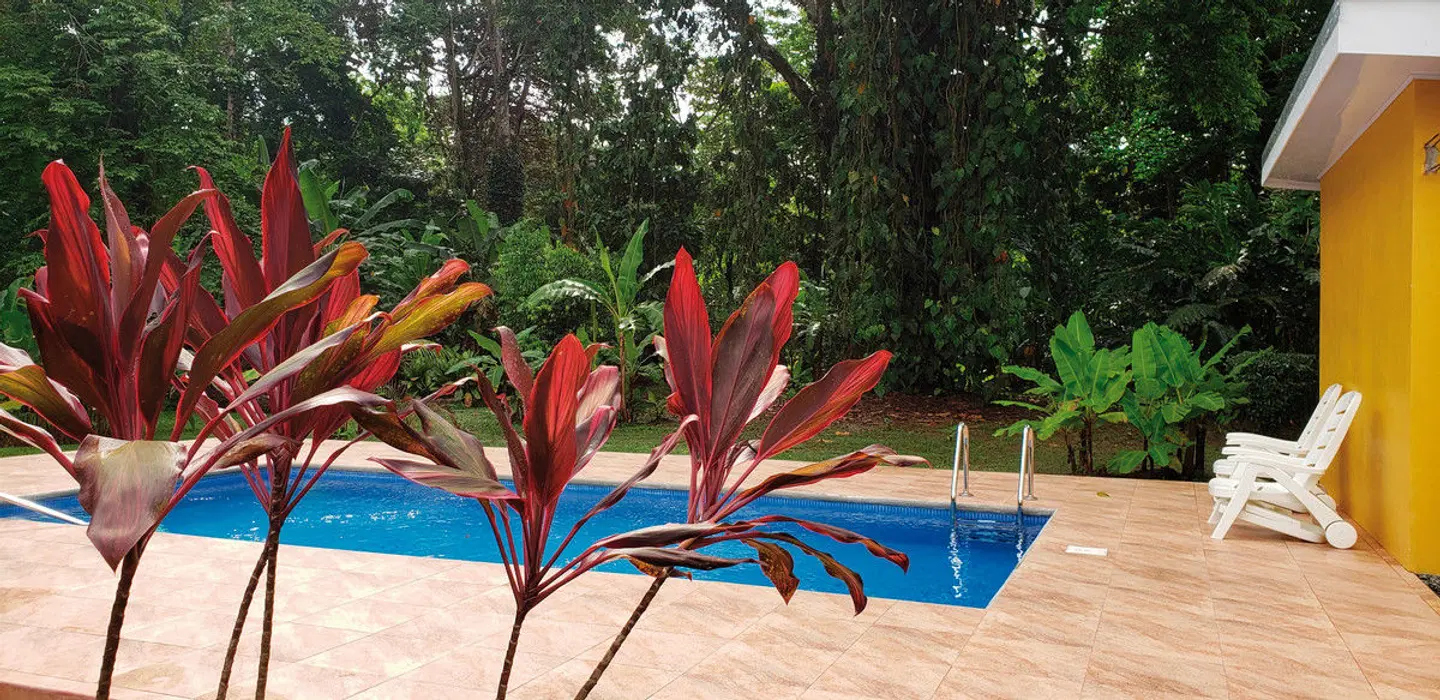 Ciudad Perdida Ecolodge OUTDOOR_POOL