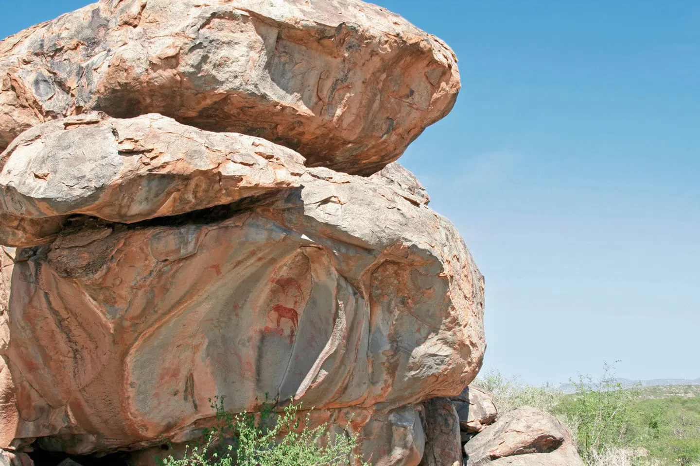 Ugab Terrace Lodge Tiere