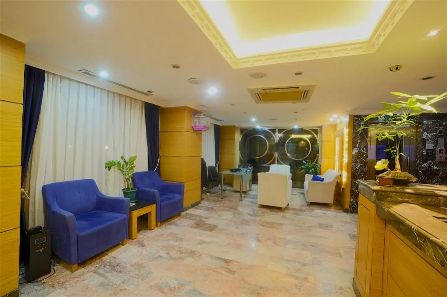 Sed Hotel LOUNGE_LOBBY