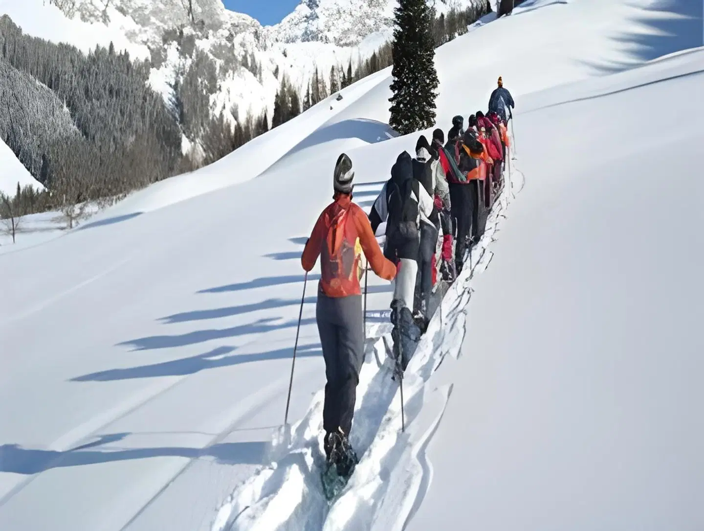 Wander-Vitalhotel Steirerhof SPORTS_AND_LEISURE