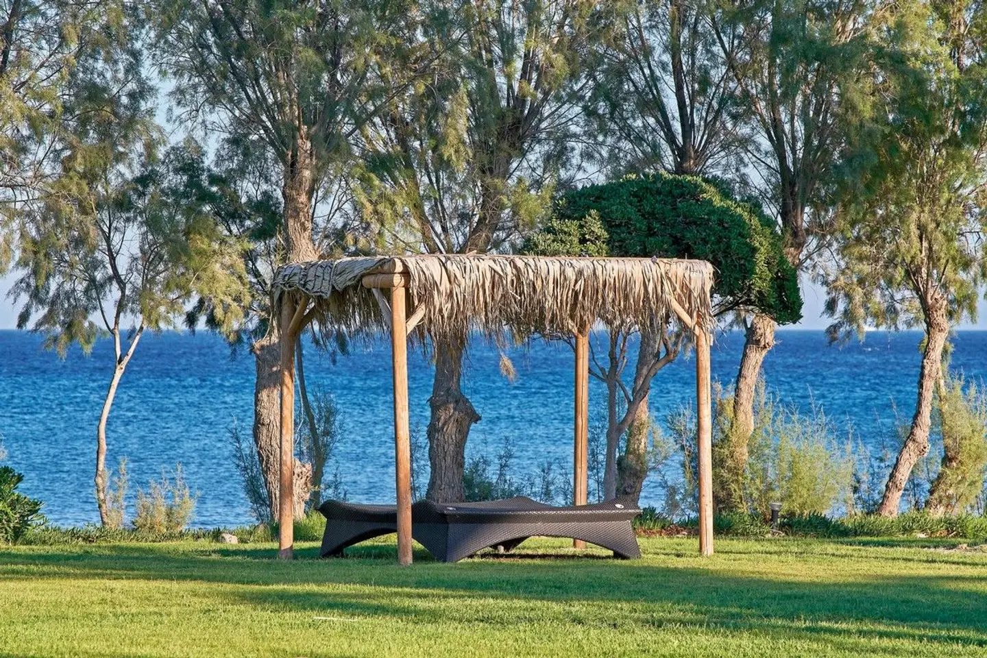 Atlantica Beach Resort Kos Tiere