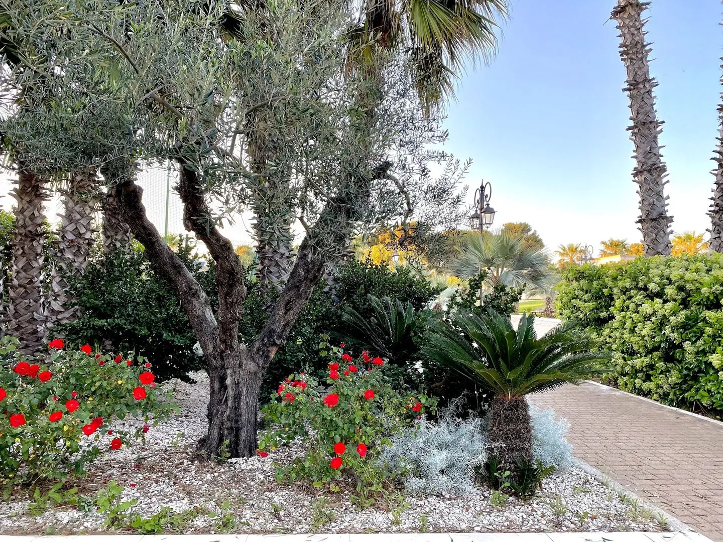 Giardino Dei Pini Garten