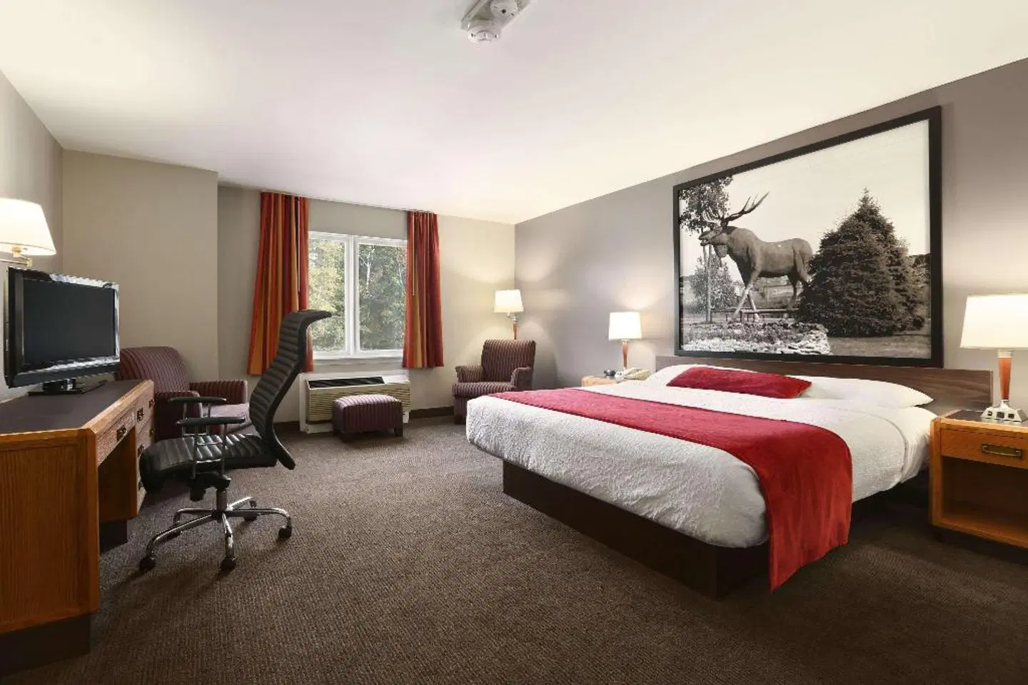 Super 8 by Wyndham North Bay ROOM_EXAMPLE