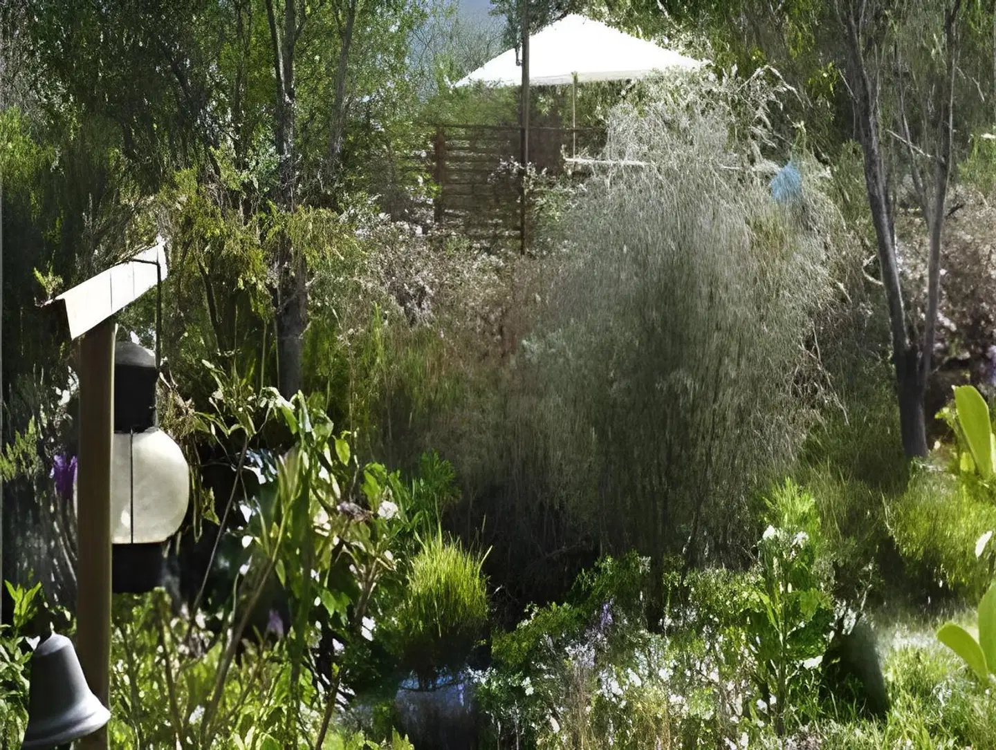 Tsitsikhaya Lodge LANDSCAPE