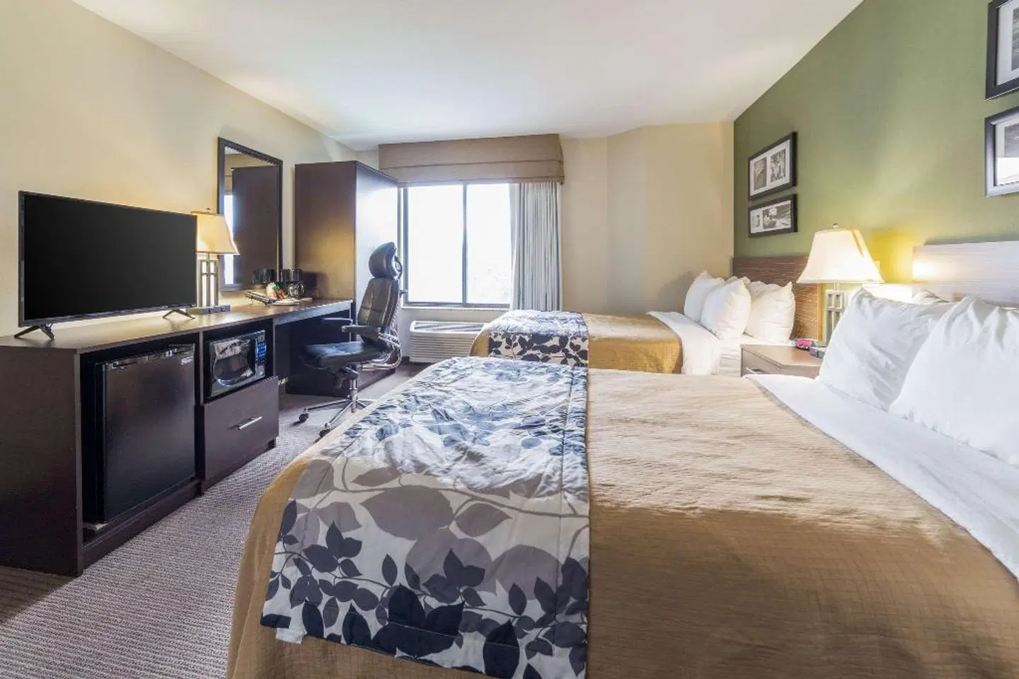 Sleep Inn Phoenix Airport ROOM_EXAMPLE