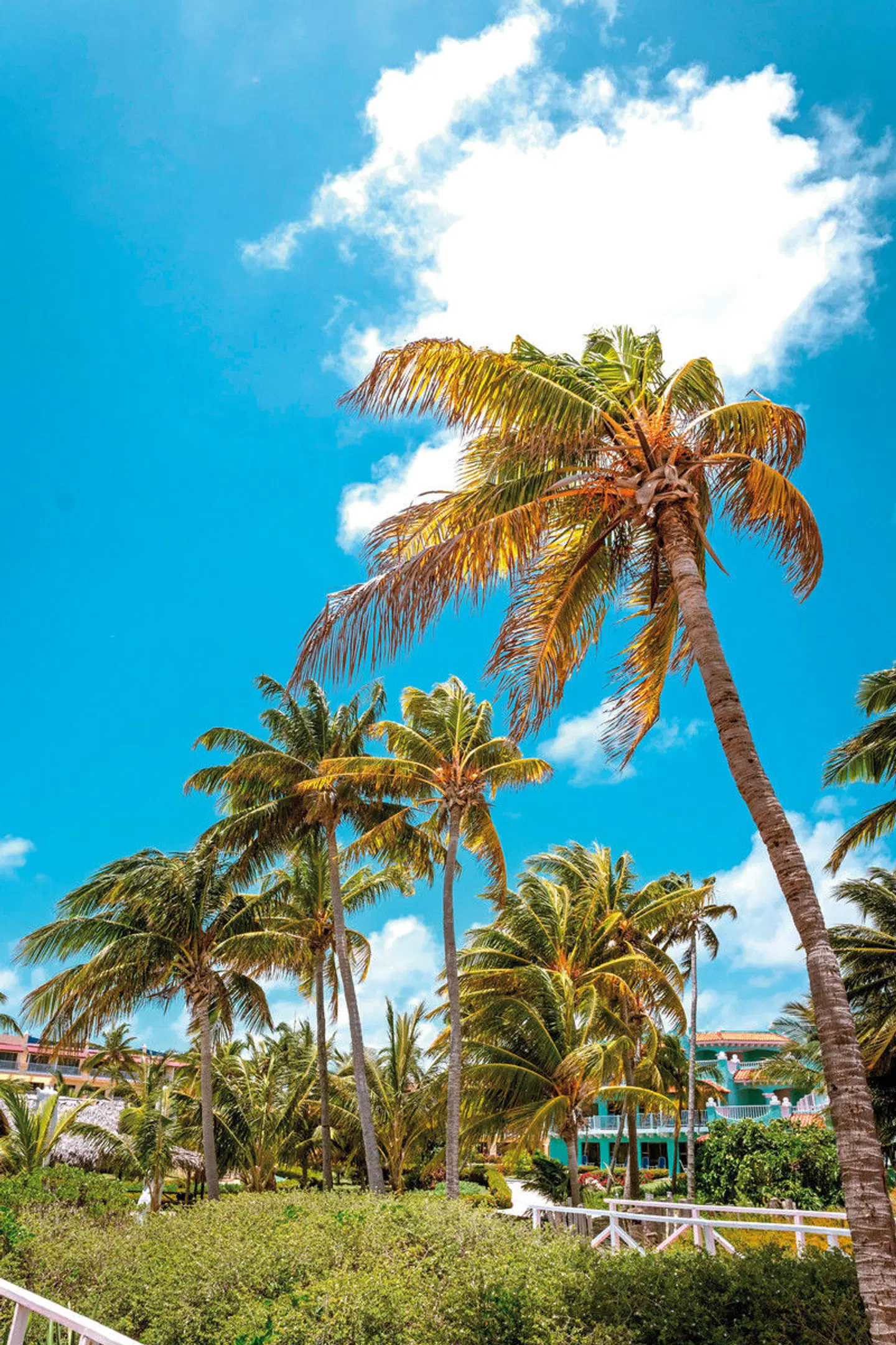 Iberostar Origin Daiquiri LANDSCAPE