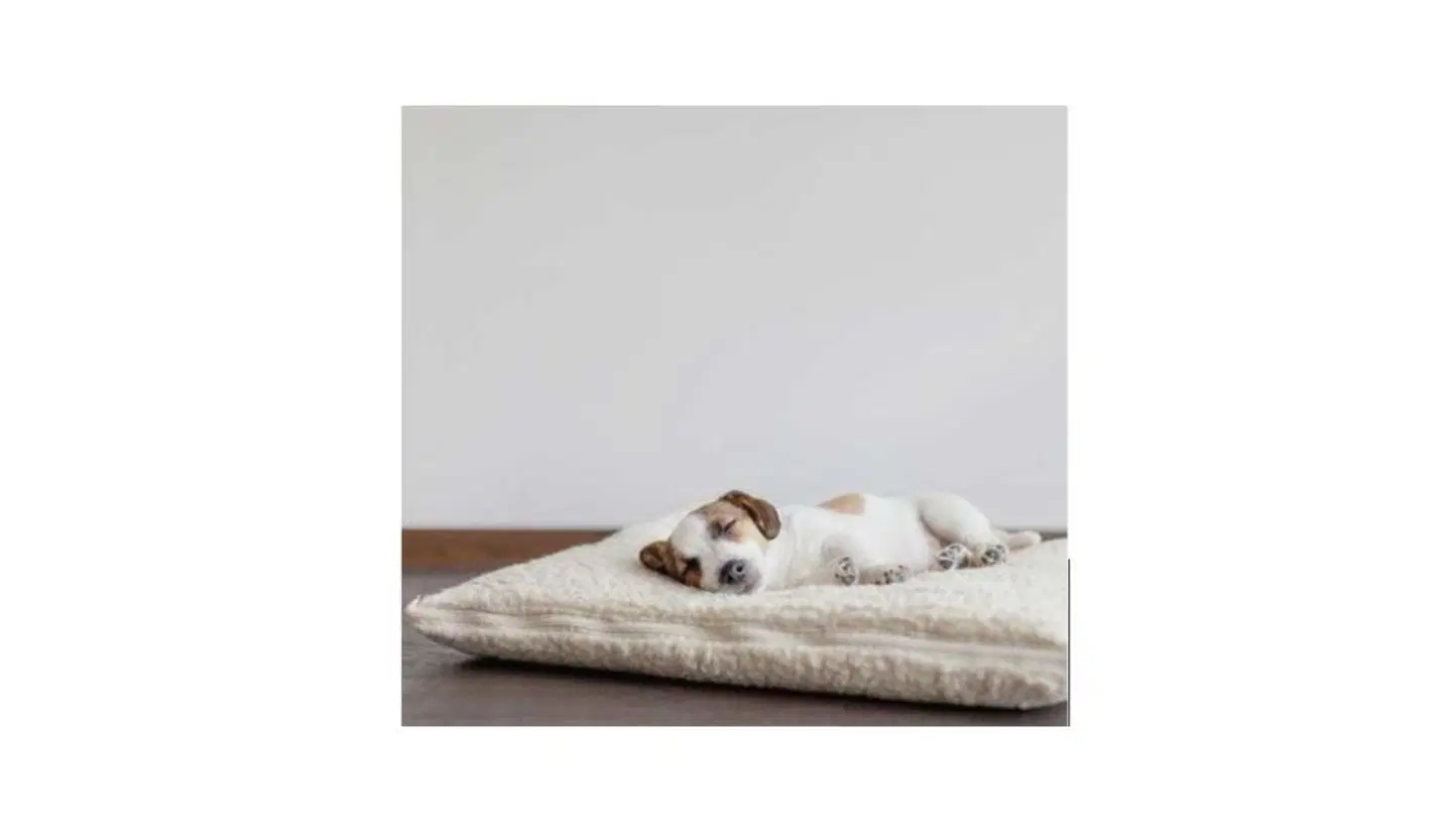 RAVEN INN WHITEHORSE ROOM_EXAMPLE