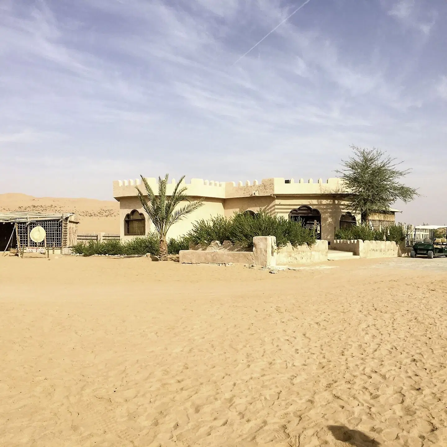 Arabian Oryx Camp Strand