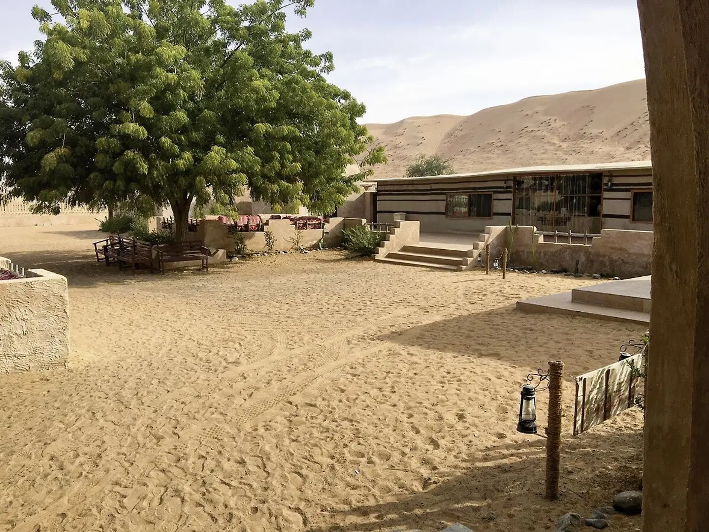 Arabian Oryx Camp Strand