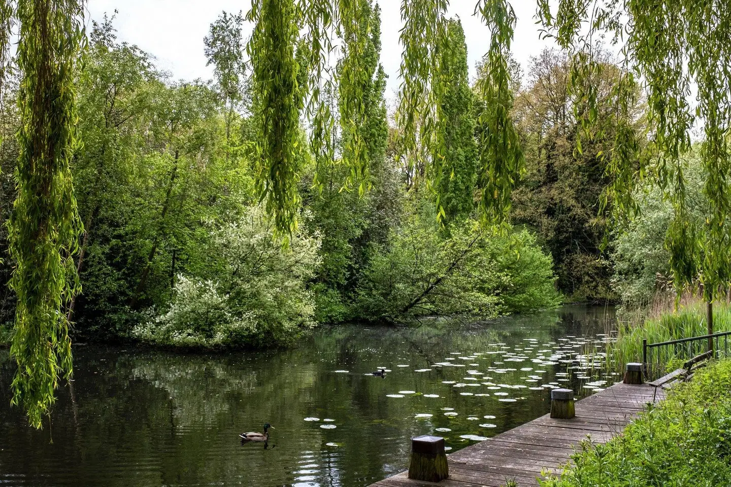 Element by Westin Amsterdam Garten