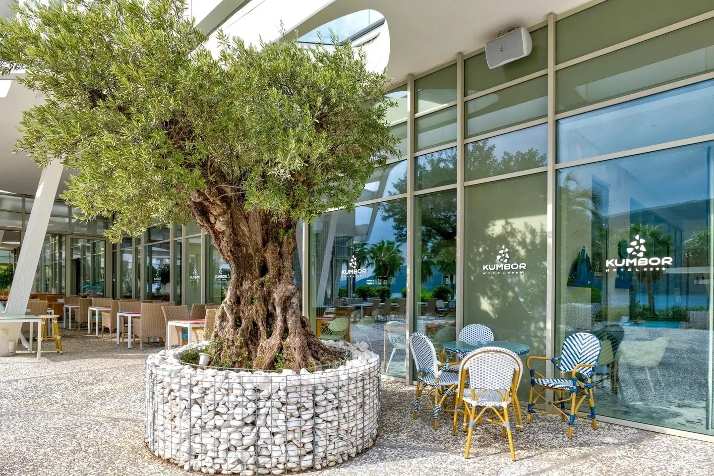 Carine Hotel Kumbor Superior Terrasse