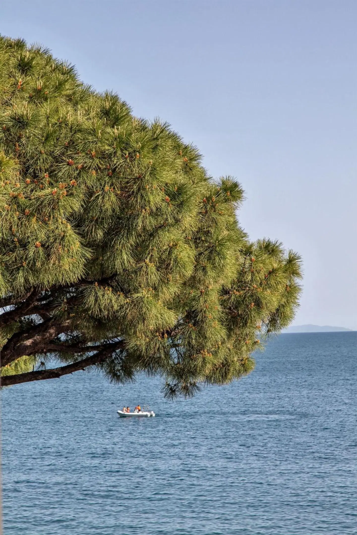 Hotel Residence LANDSCAPE