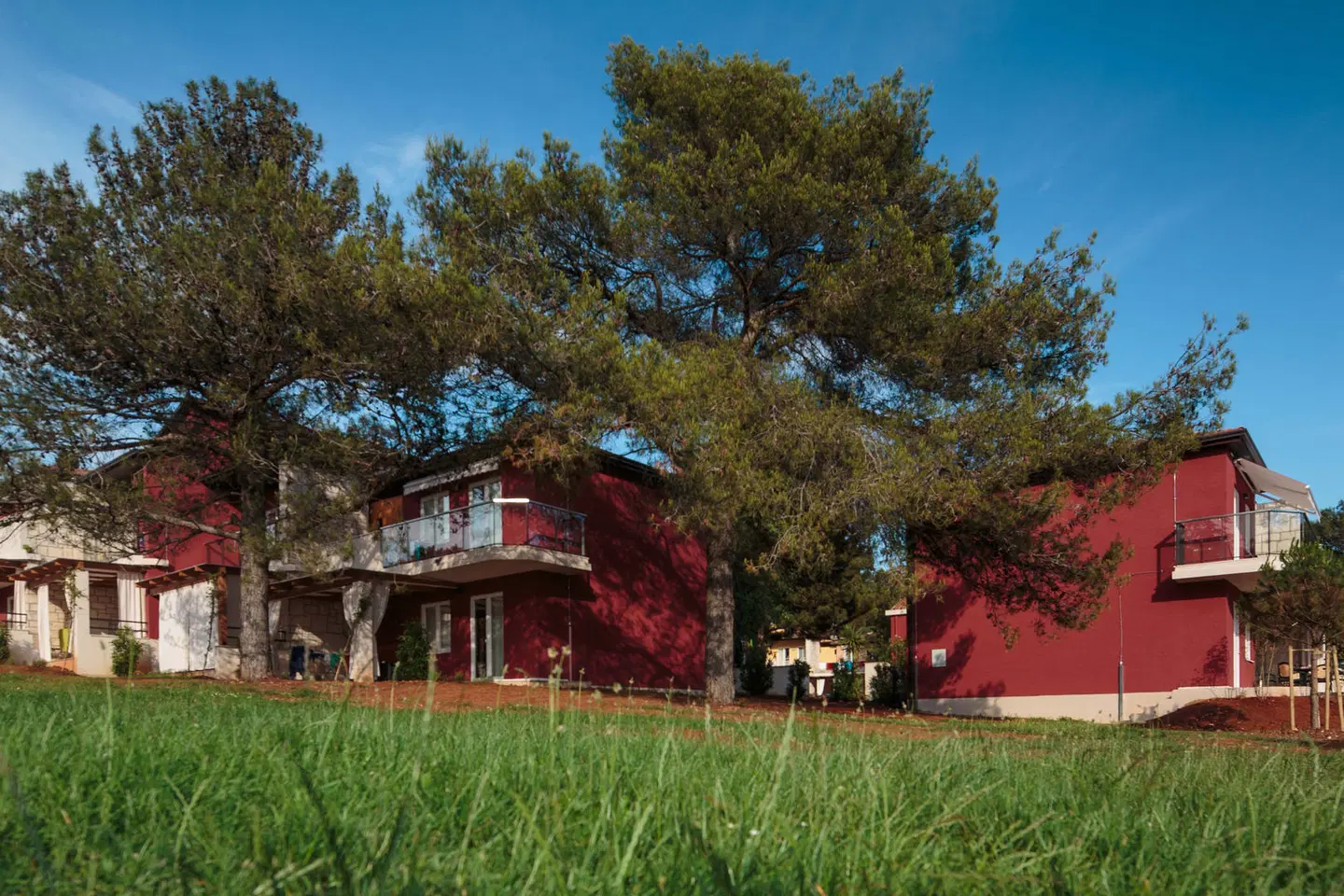 Apartments Katoro for Plava Laguna EXTERIOR