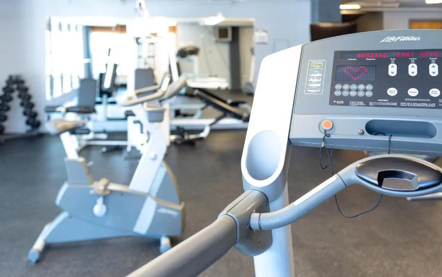 Rodd Grand Yarmouth SPORTS_AND_LEISURE