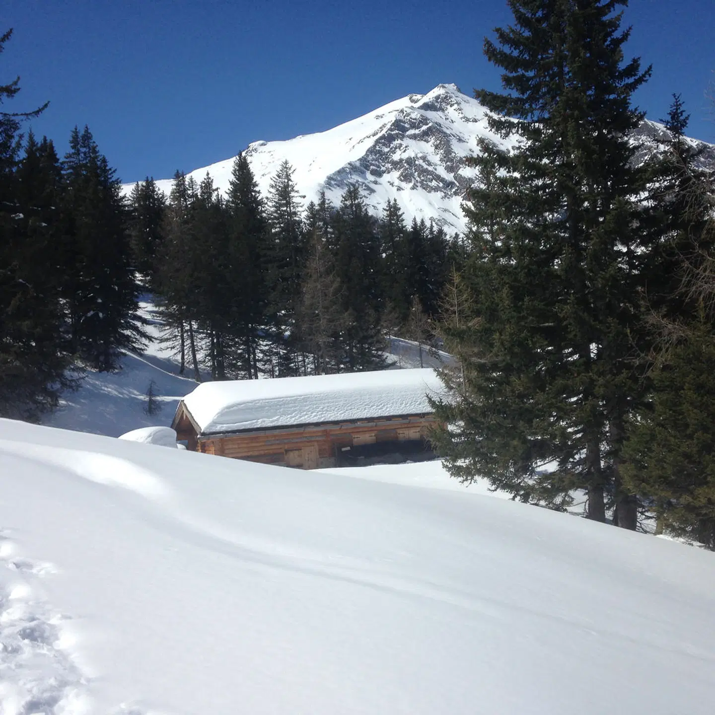 Gasthof Andrelwirt LANDSCAPE