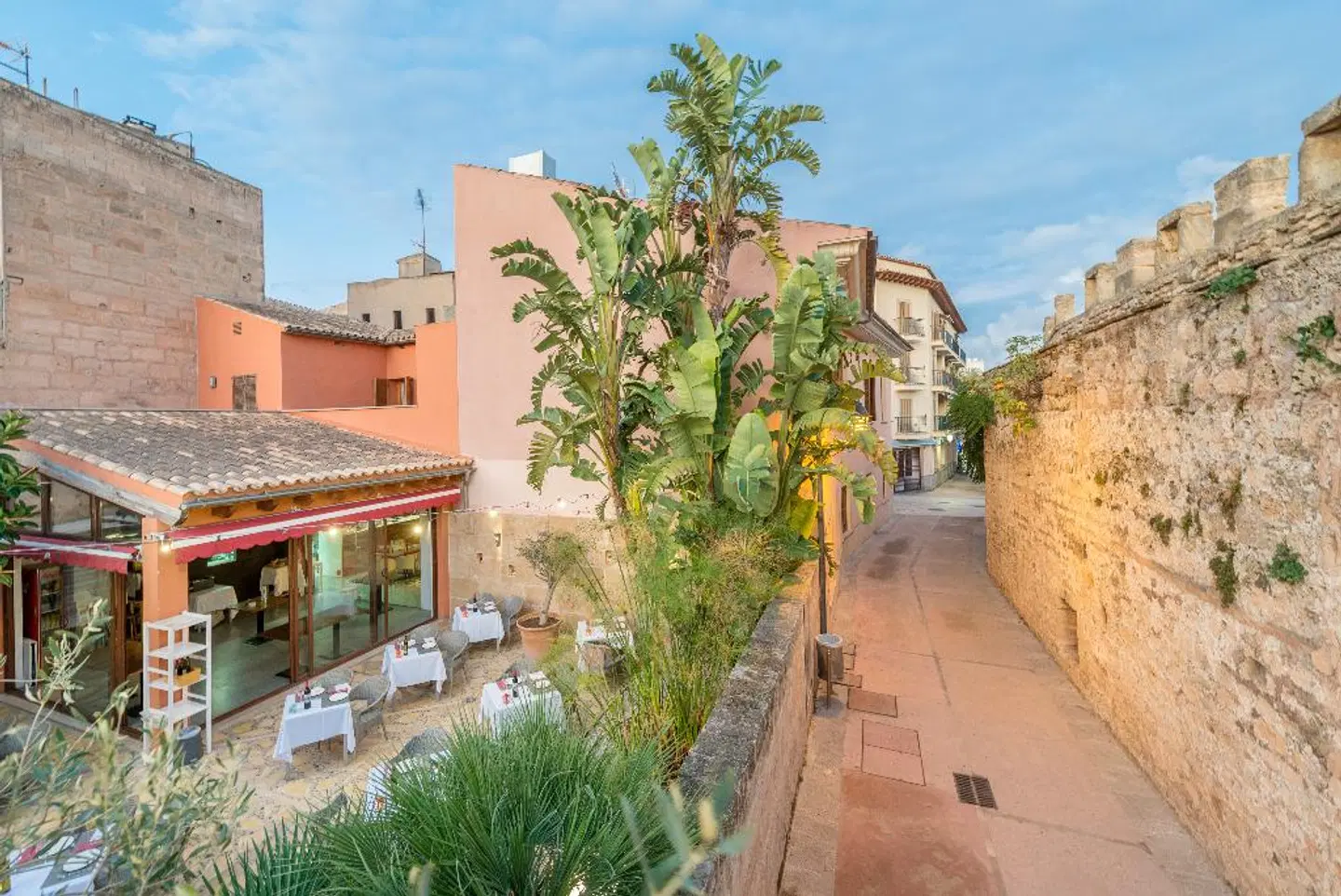 Alcudia Petit Hotel LANDSCAPE