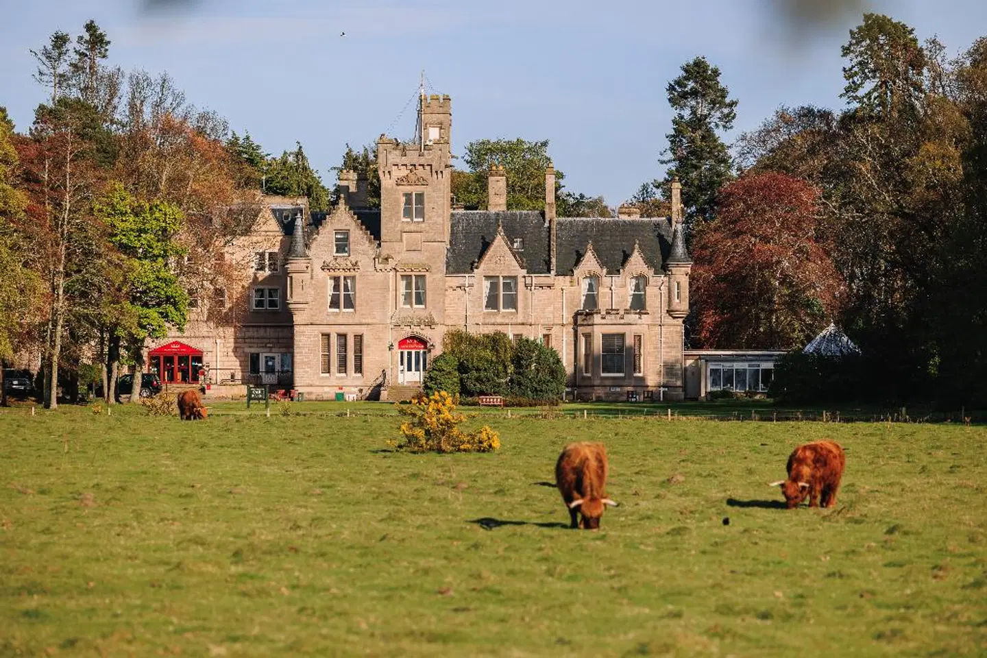 Muthu Newton Hotel Tiere