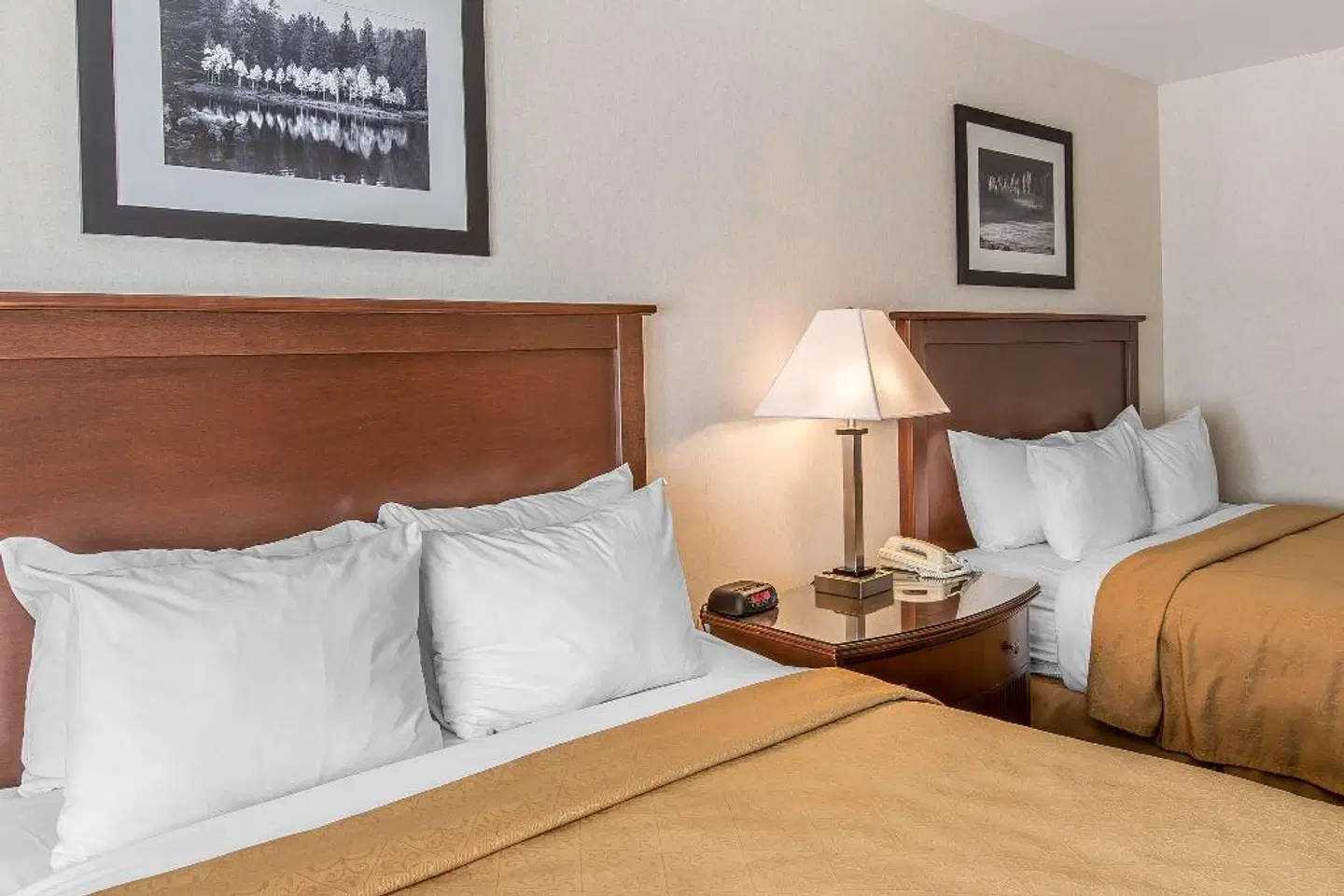 Quality Inn & Suites Steamboat Springs ROOM_EXAMPLE