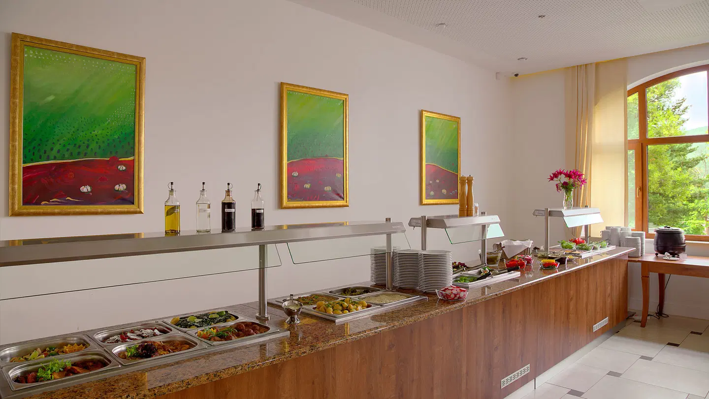 Hotel Buczy'ski Medical & Spa Konferenz