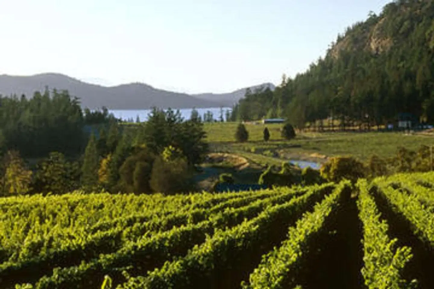 DoubleTree by Hilton Hotel & Suites Victoria LANDSCAPE