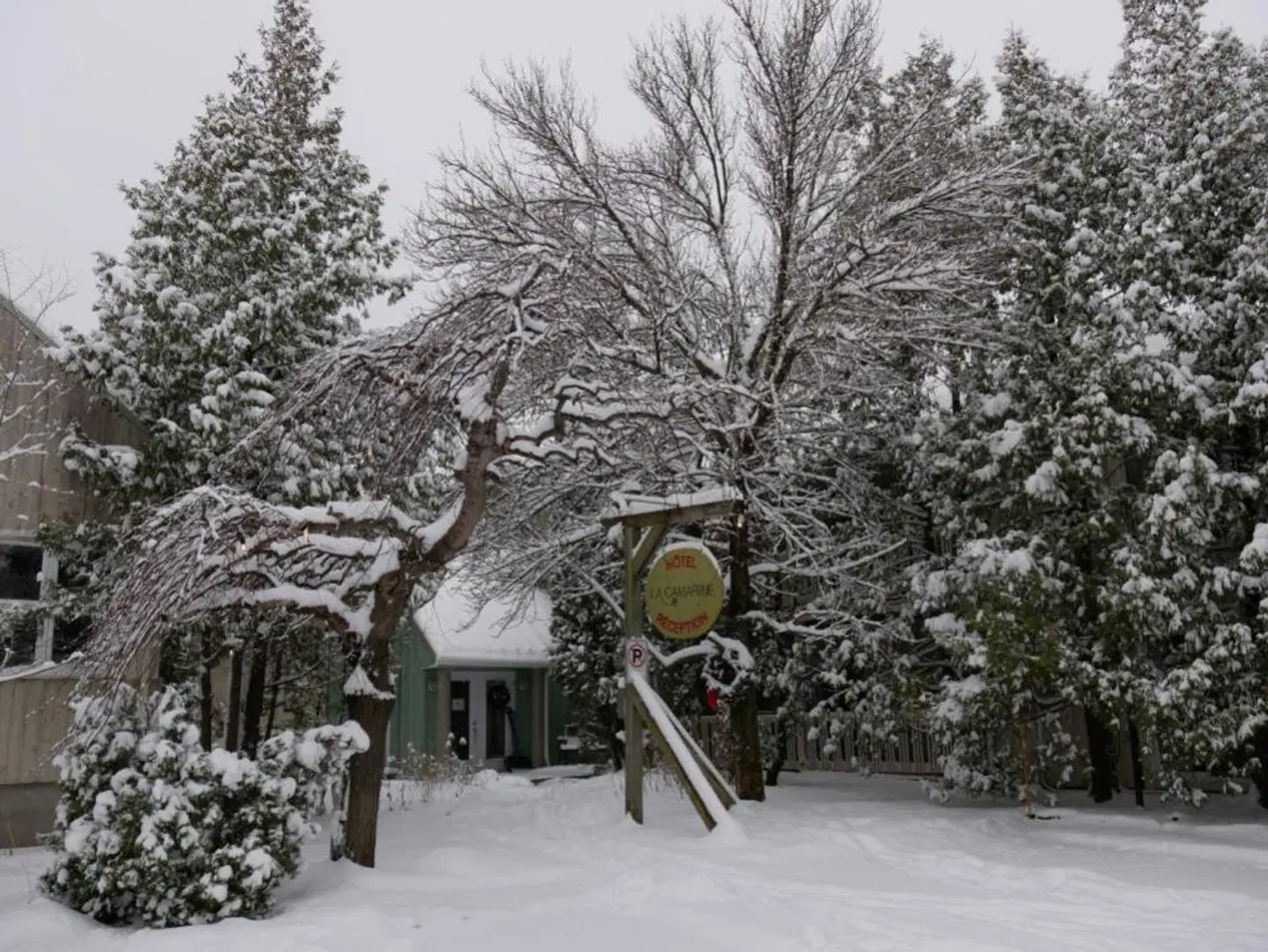 Auberge La Camarine Tiere