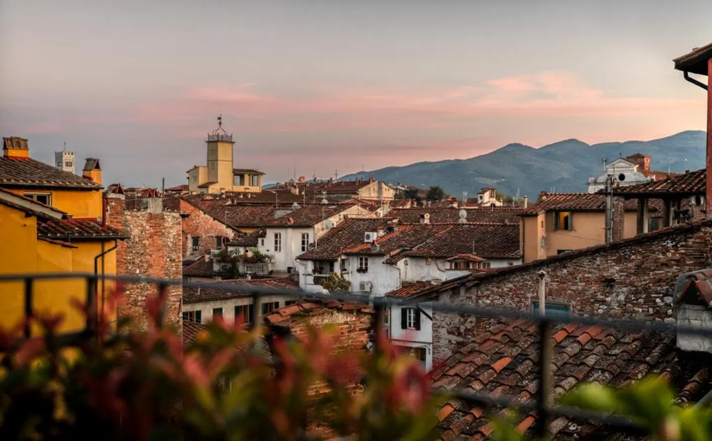 Palazzo Alexander EXTERIOR