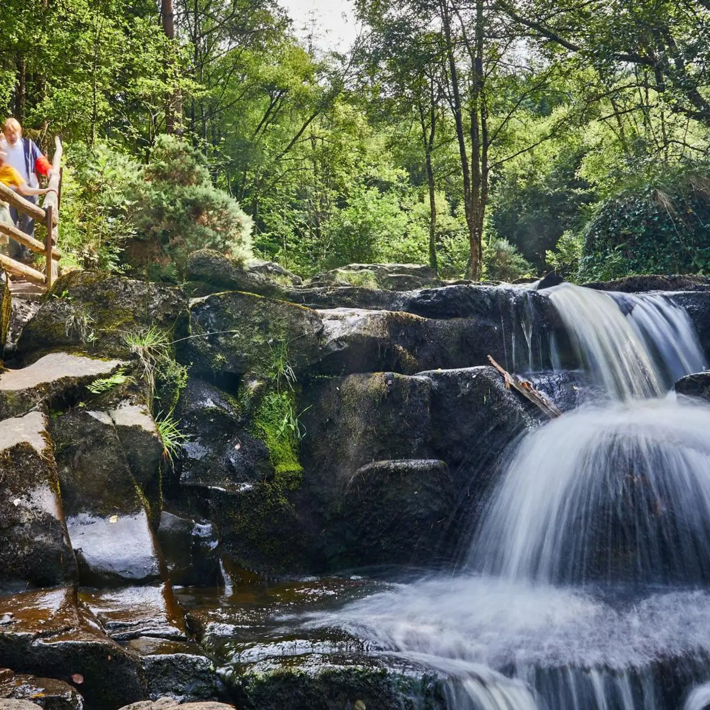 The Heritage LANDSCAPE