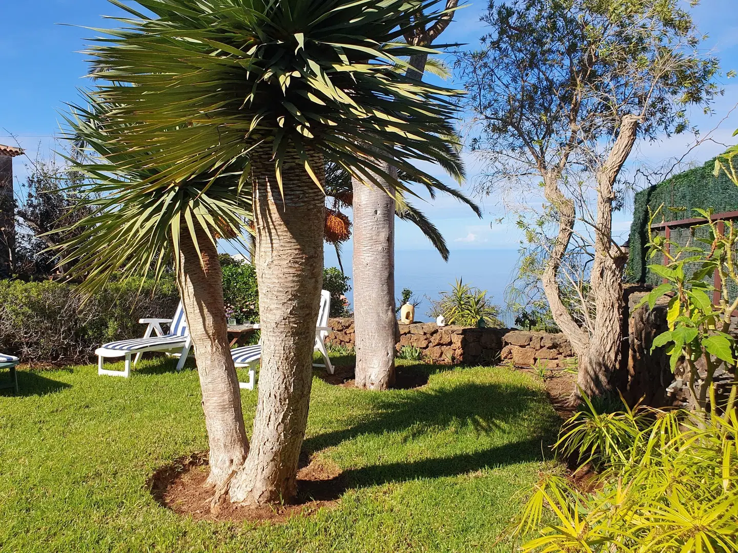 Finca La Blasina Garten