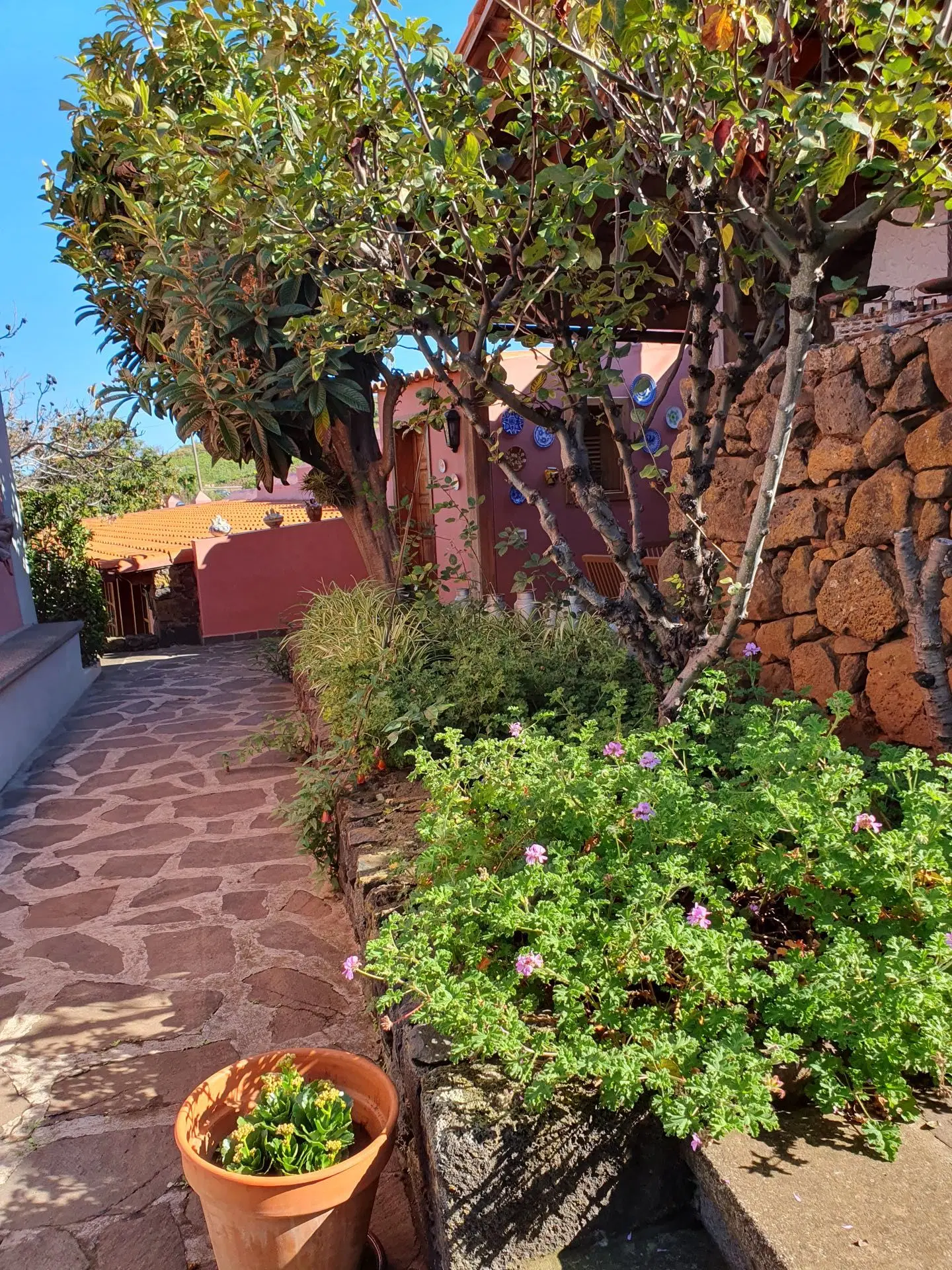 Finca La Blasina Garten