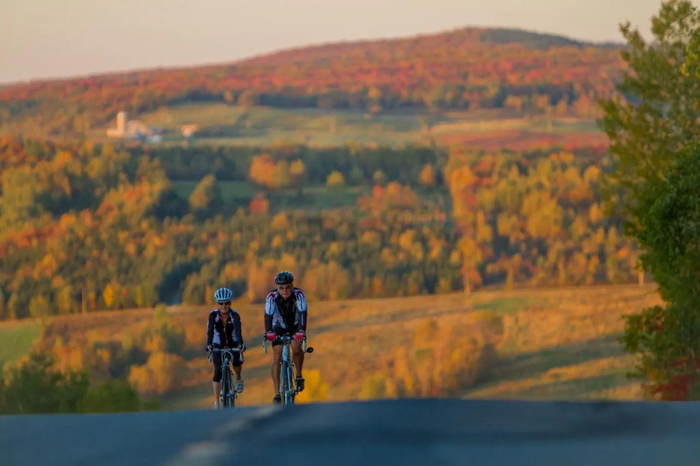 Cheribourg Convention & Spa Orford LANDSCAPE