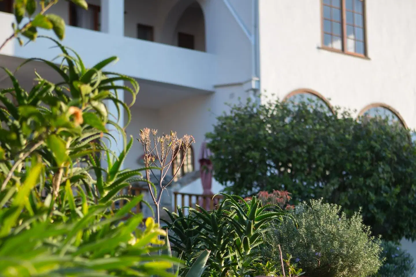 Chartfield Guesthouse Terrasse