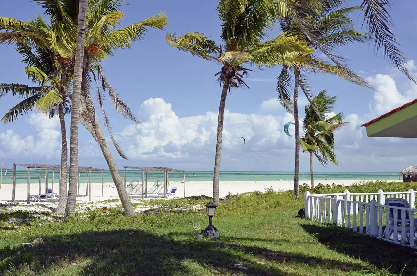 Starfish Cayo Guillermo Garten