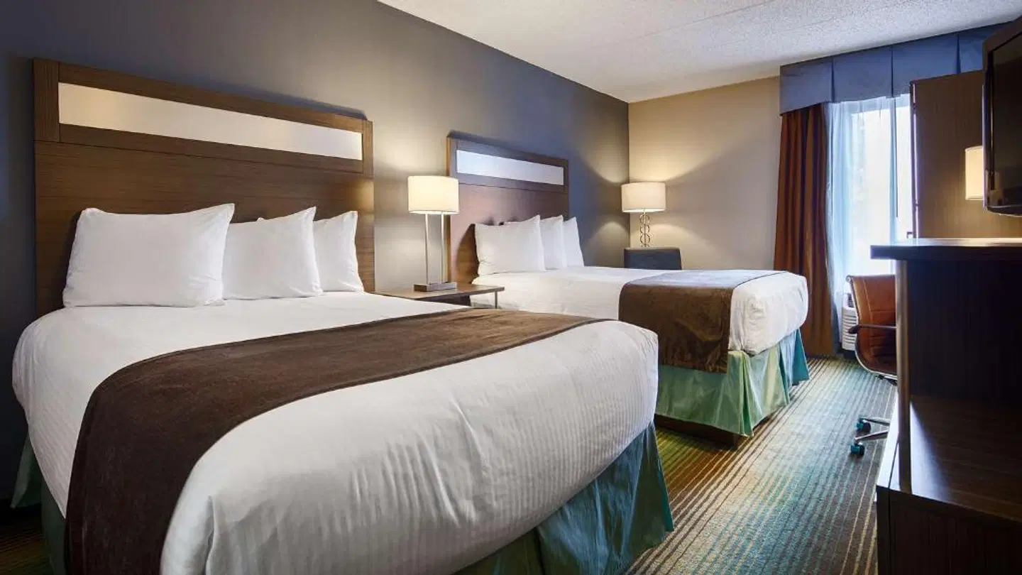 Quality Inn & Suites O'Hare/Elk Grove ROOM_EXAMPLE