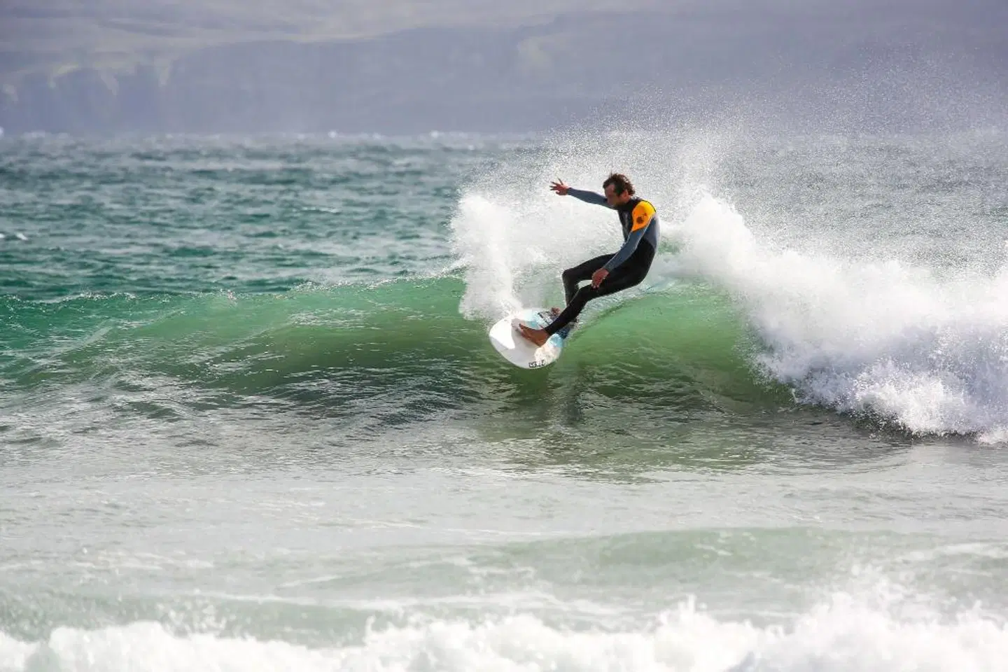 Arnolds Hotel & Riding Stables Tiere