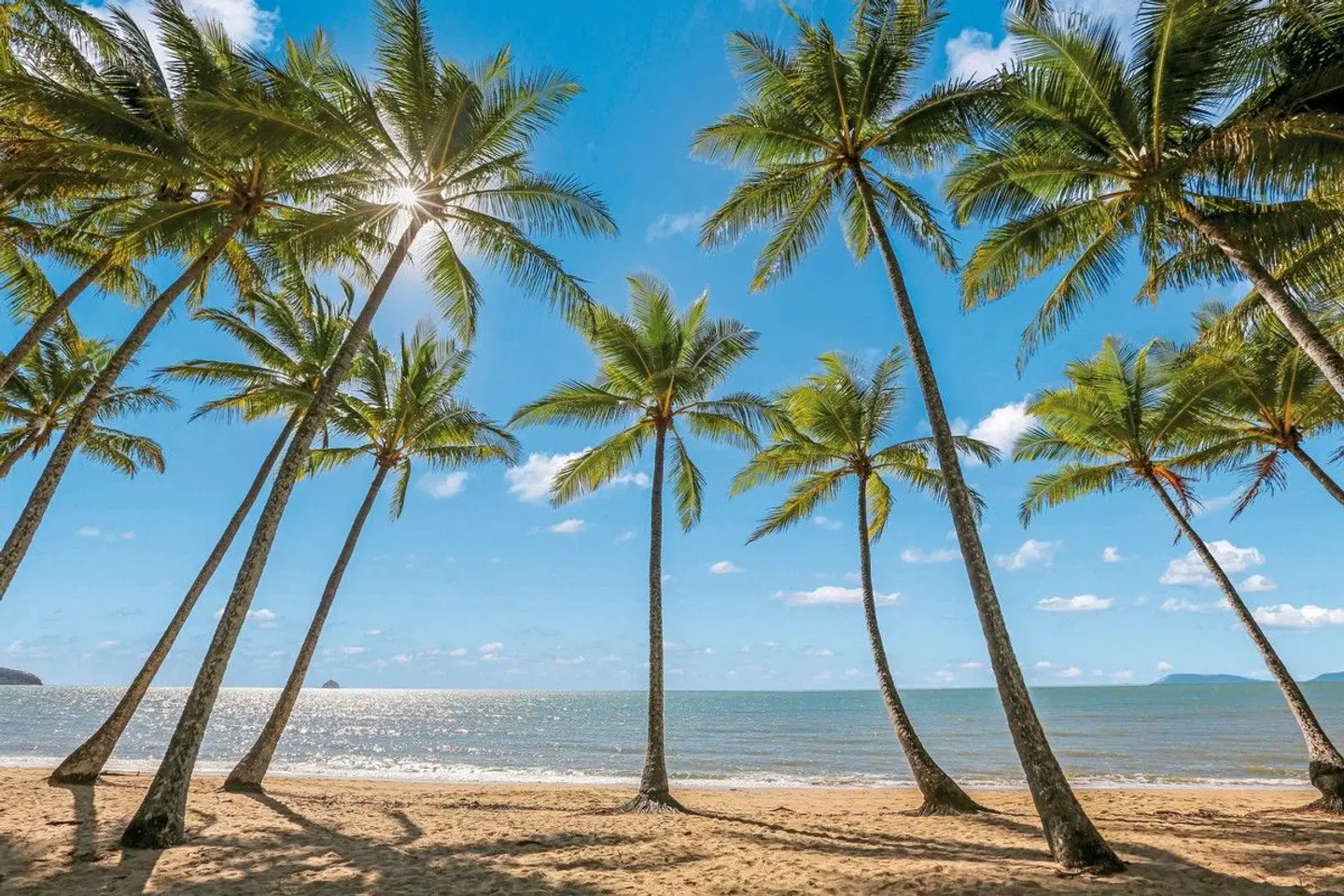 Alamanda Palm Cove by Lancemore Strand