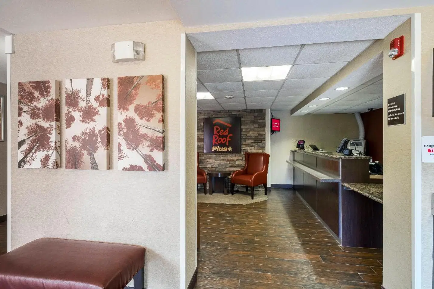 Red Roof Inn Plus Boston - Woburn ROOM_EXAMPLE