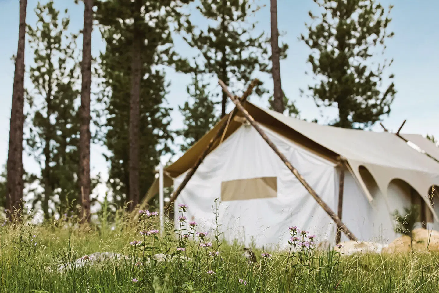 Under Canvas Mount Rushmore Garten