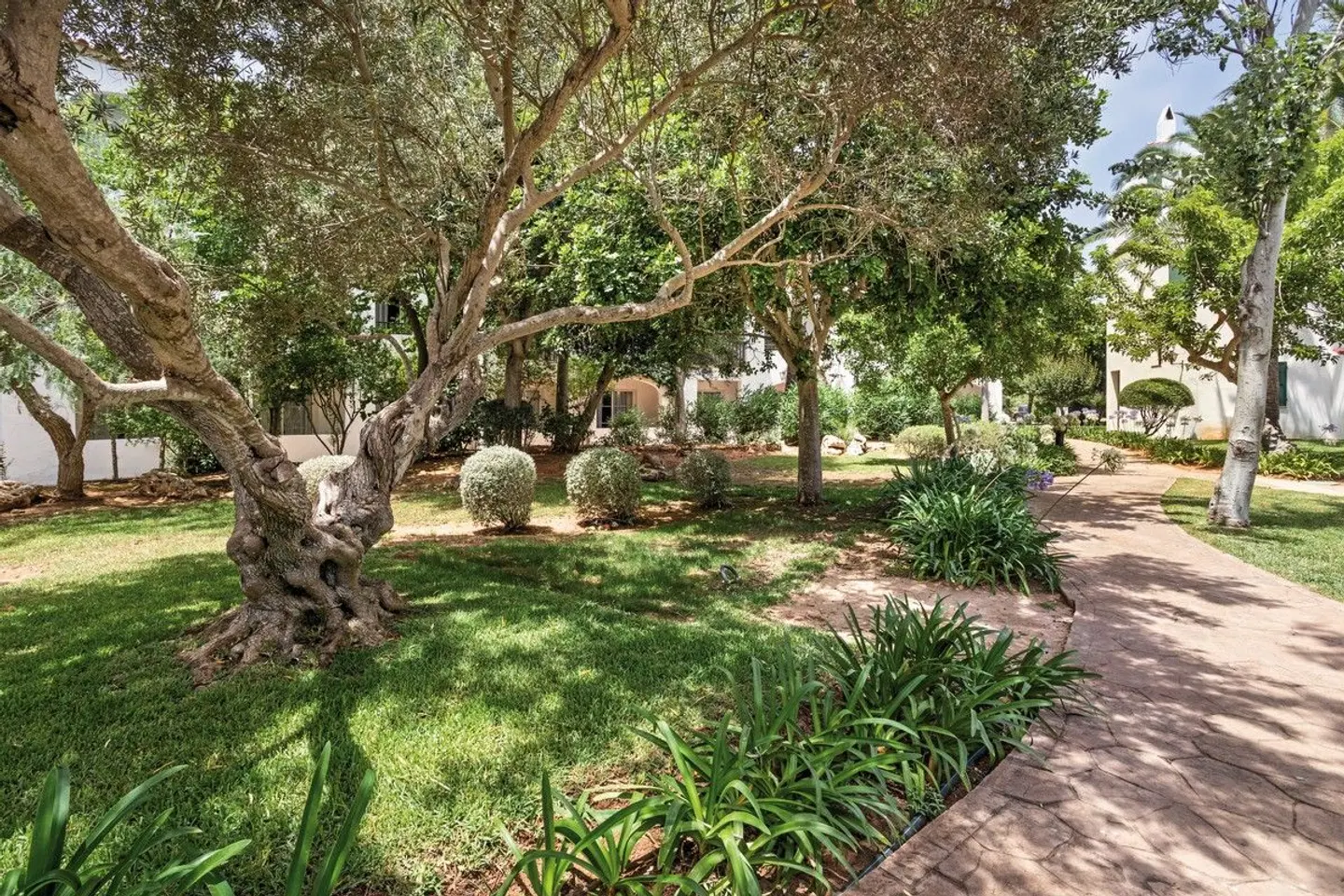 Sol Falcó Menorca Garten