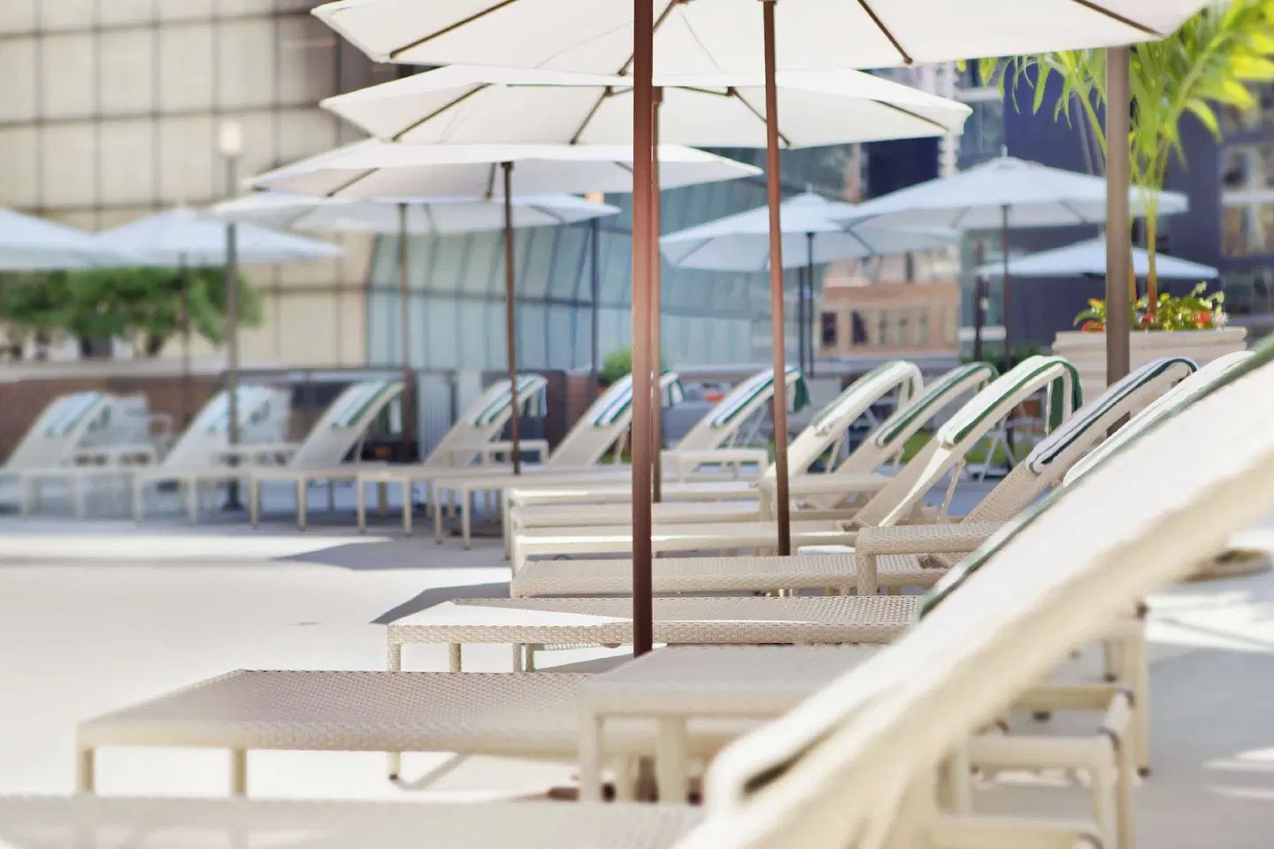 DoubleTree by Hilton Hotel Chicago - Magnificent Mile OUTDOOR_POOL