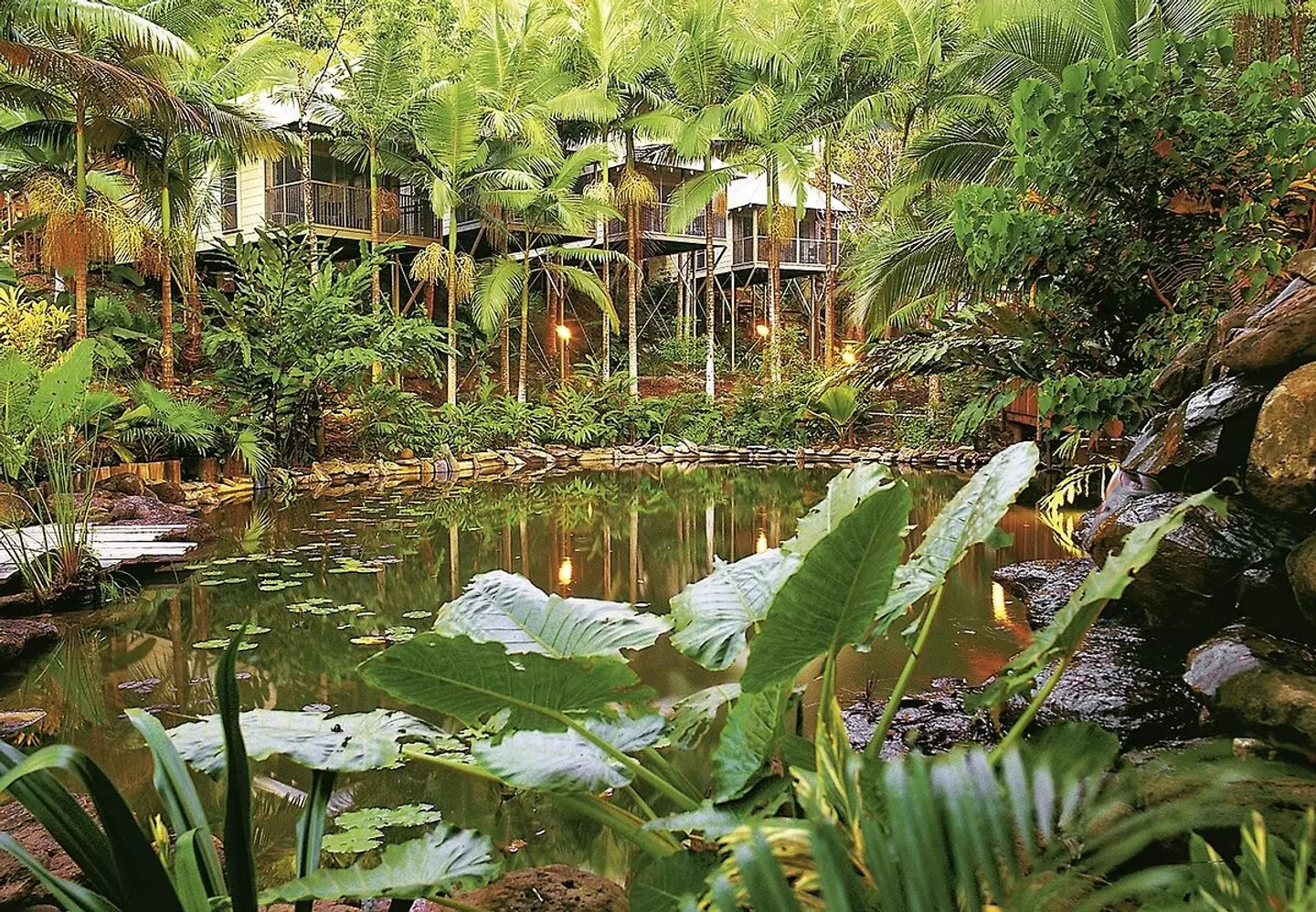 Daintree Ecolodge Garten