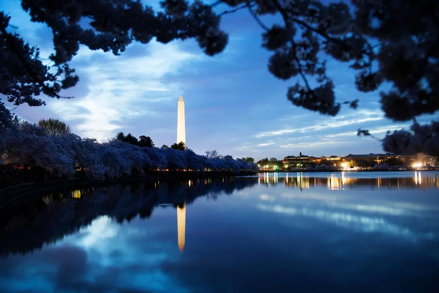 Waldorf Astoria Washington DC OUTDOOR_POOL