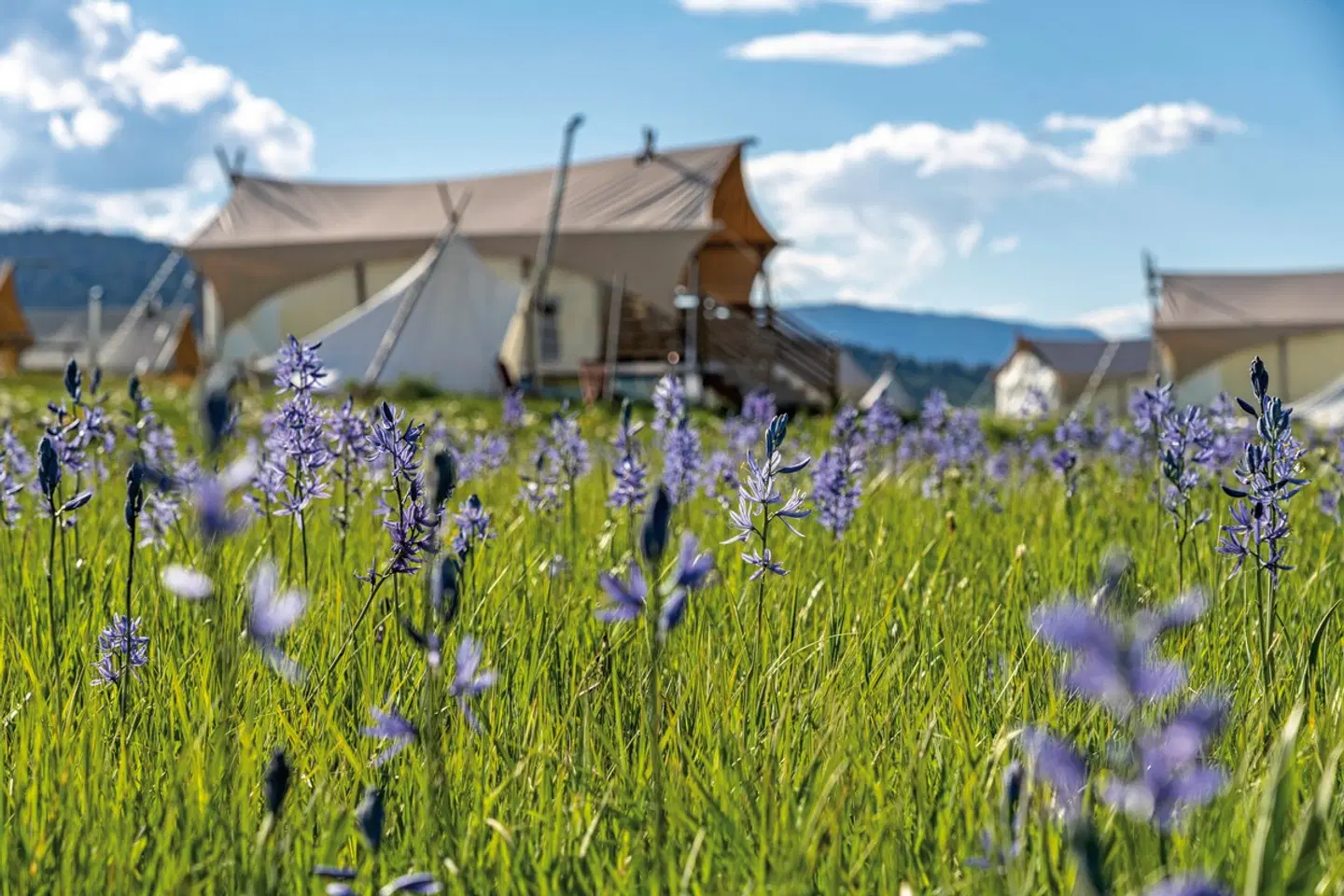 Under Canvas Yellowstone EXTERIOR