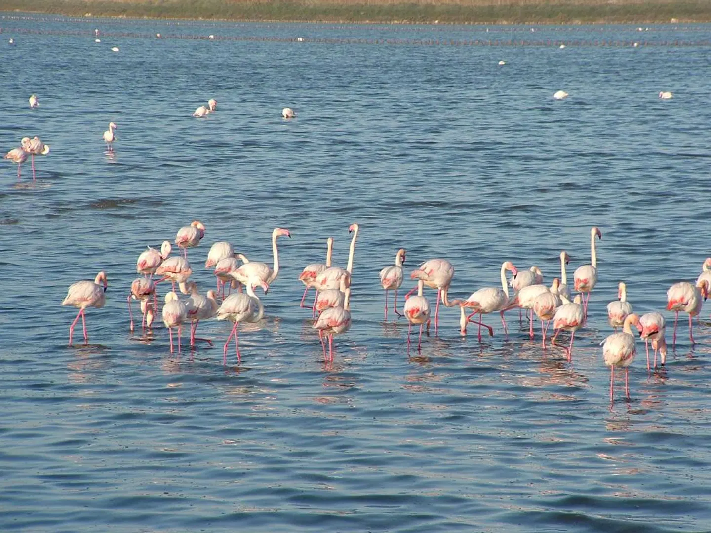 Best Western Hotel Residence Italia Tiere