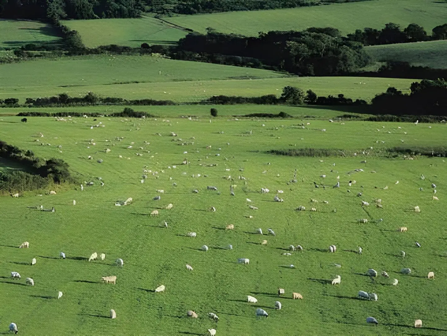 The Bear of Burton LANDSCAPE