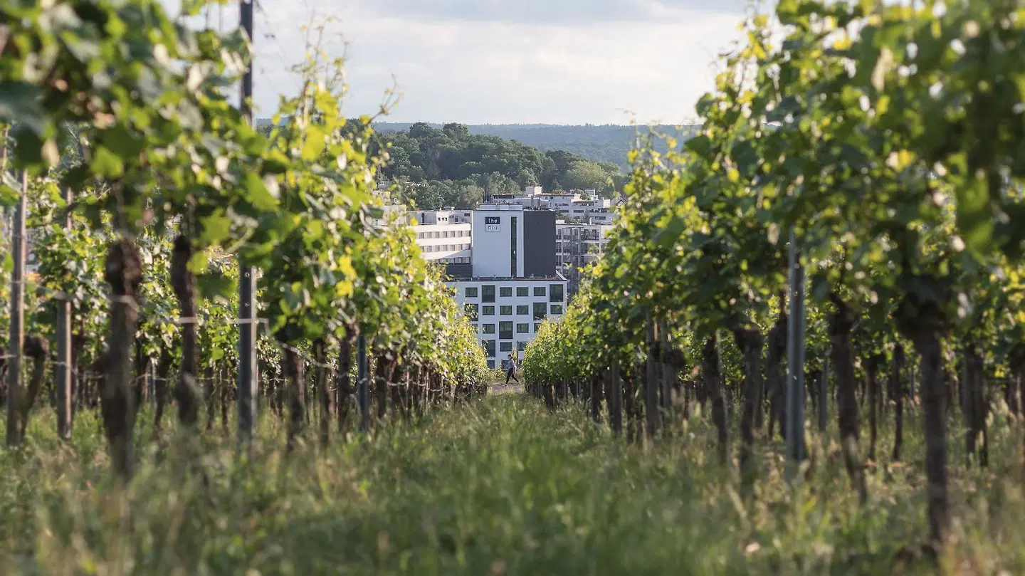 Holiday Inn - the niu, Form Garten