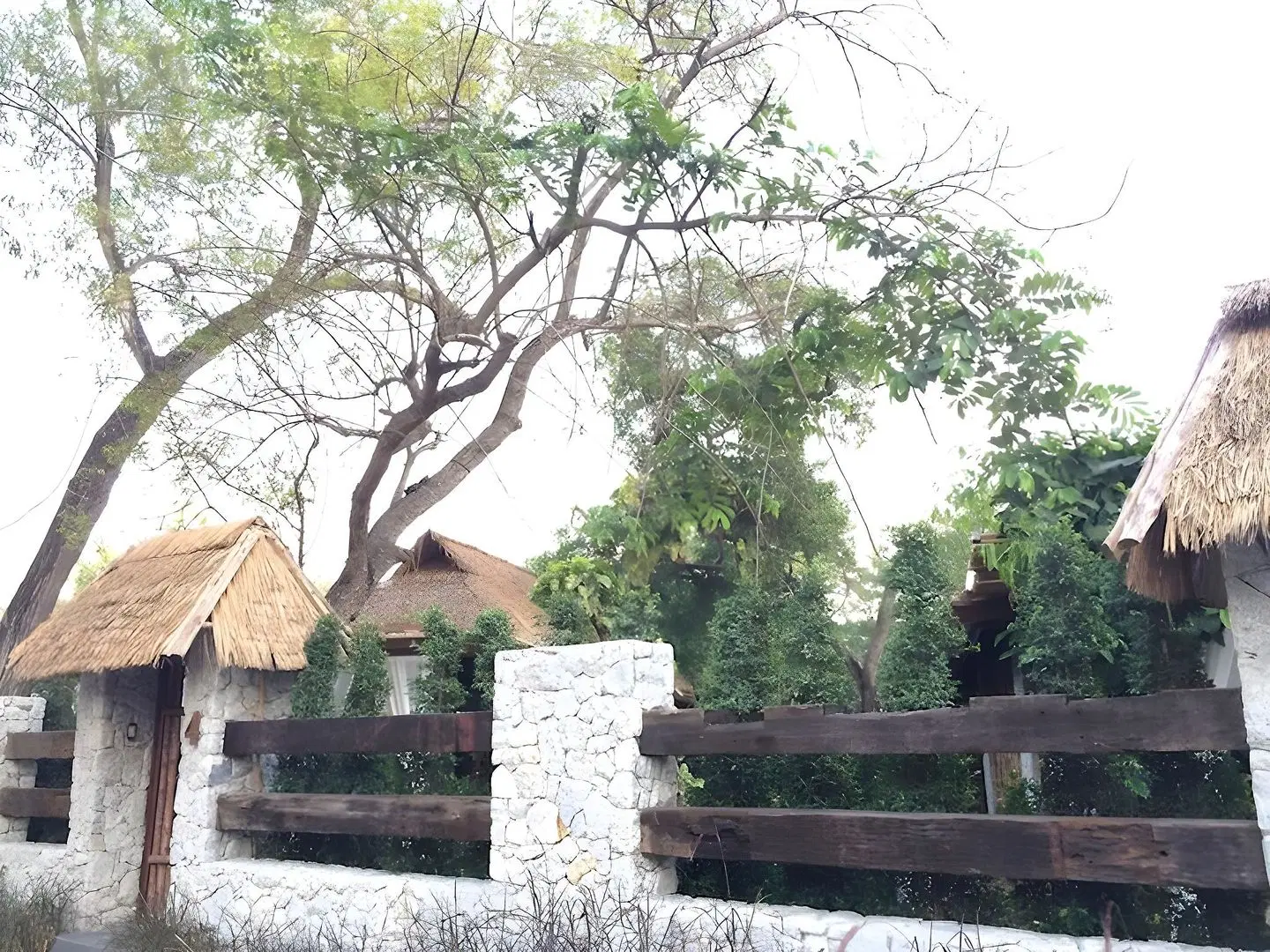 The Journey Resort LANDSCAPE