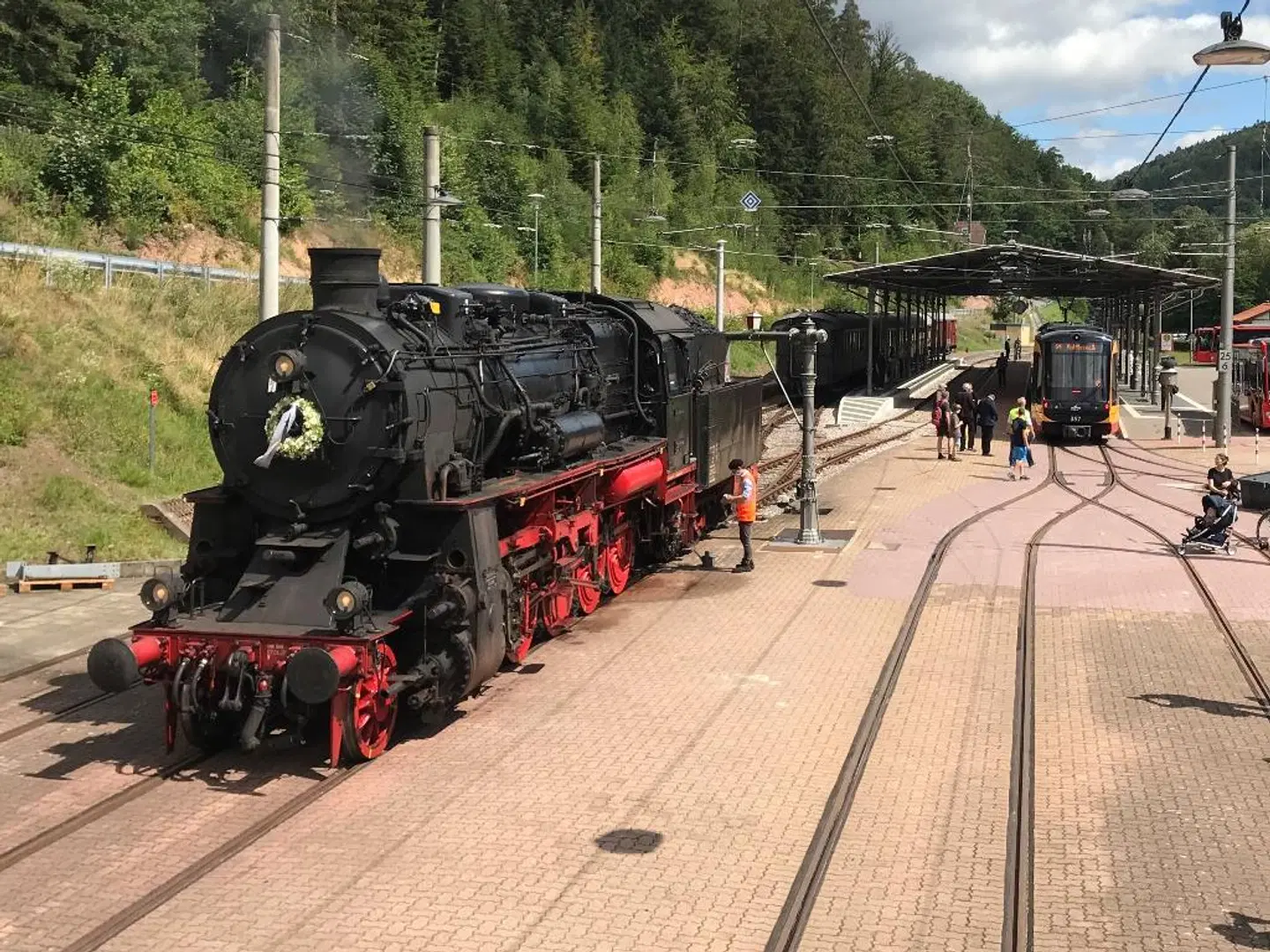 Kull von Schmidsfelden Tiere