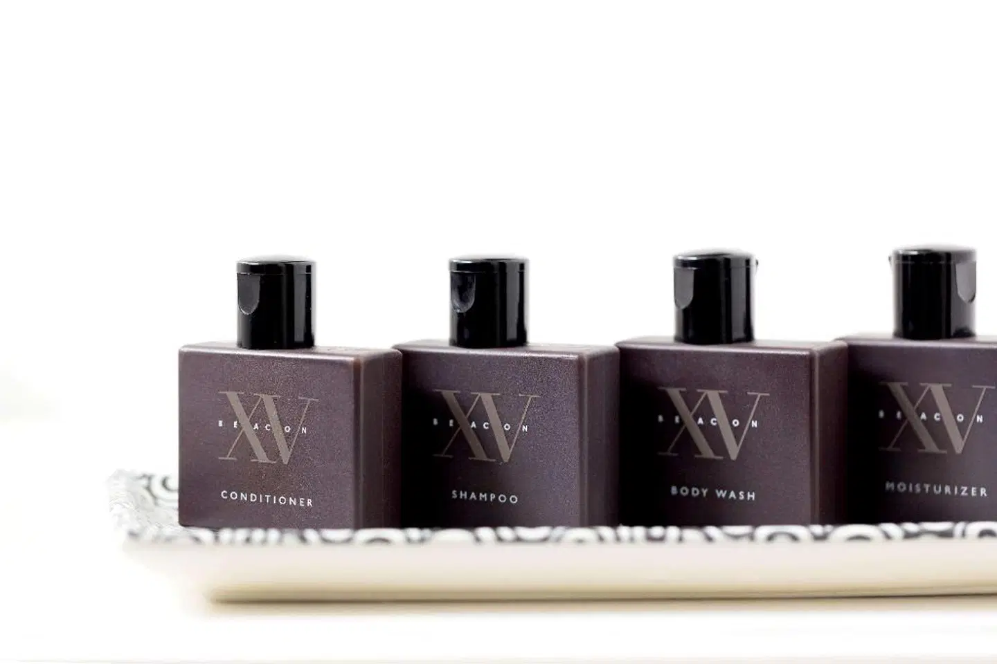 Fifteen Beacon Hotel MODEL_IMPRESSION