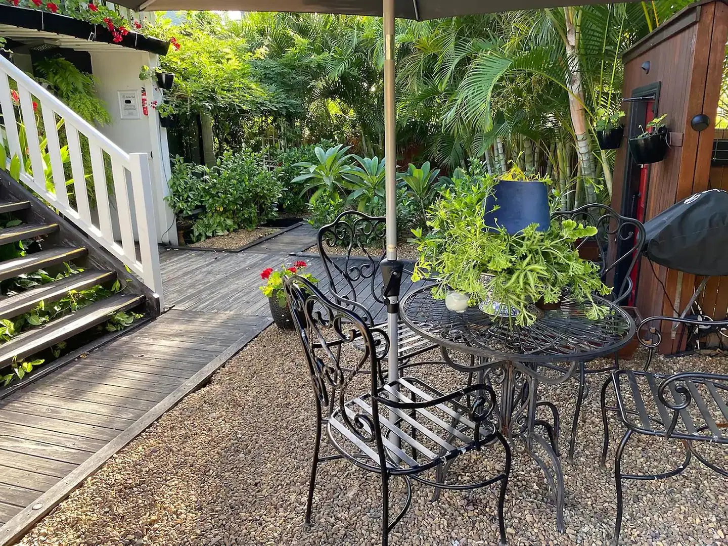 Freshwater BnB Tiere