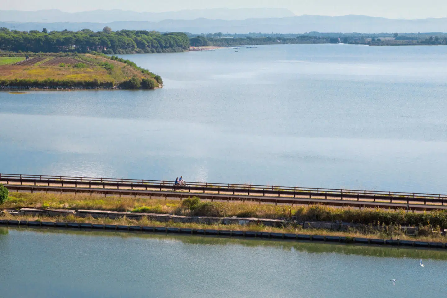 Belvedere Pineta Camping Village LANDSCAPE